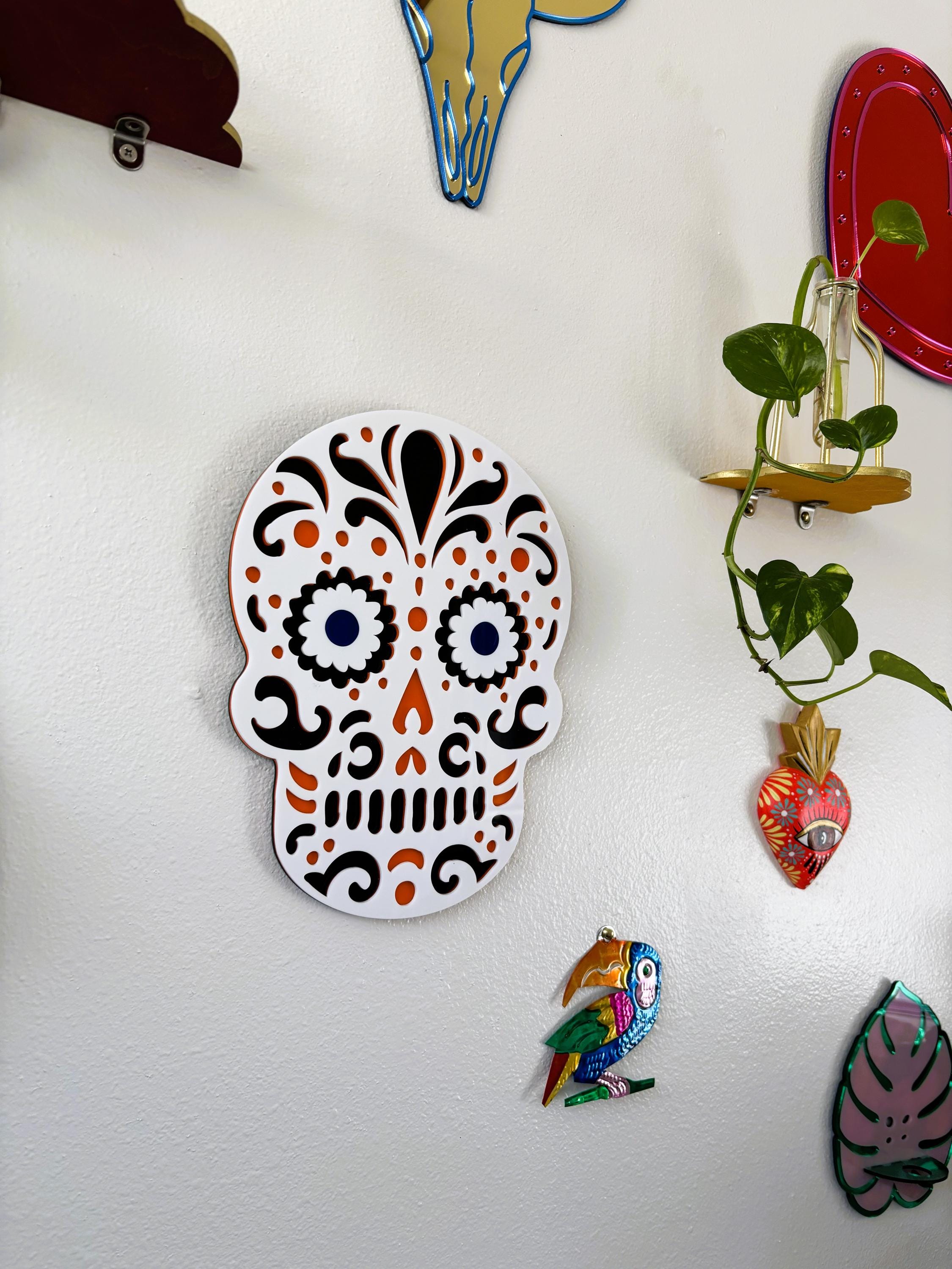 Decorative skull magnet on a white surface with other magnets in the background